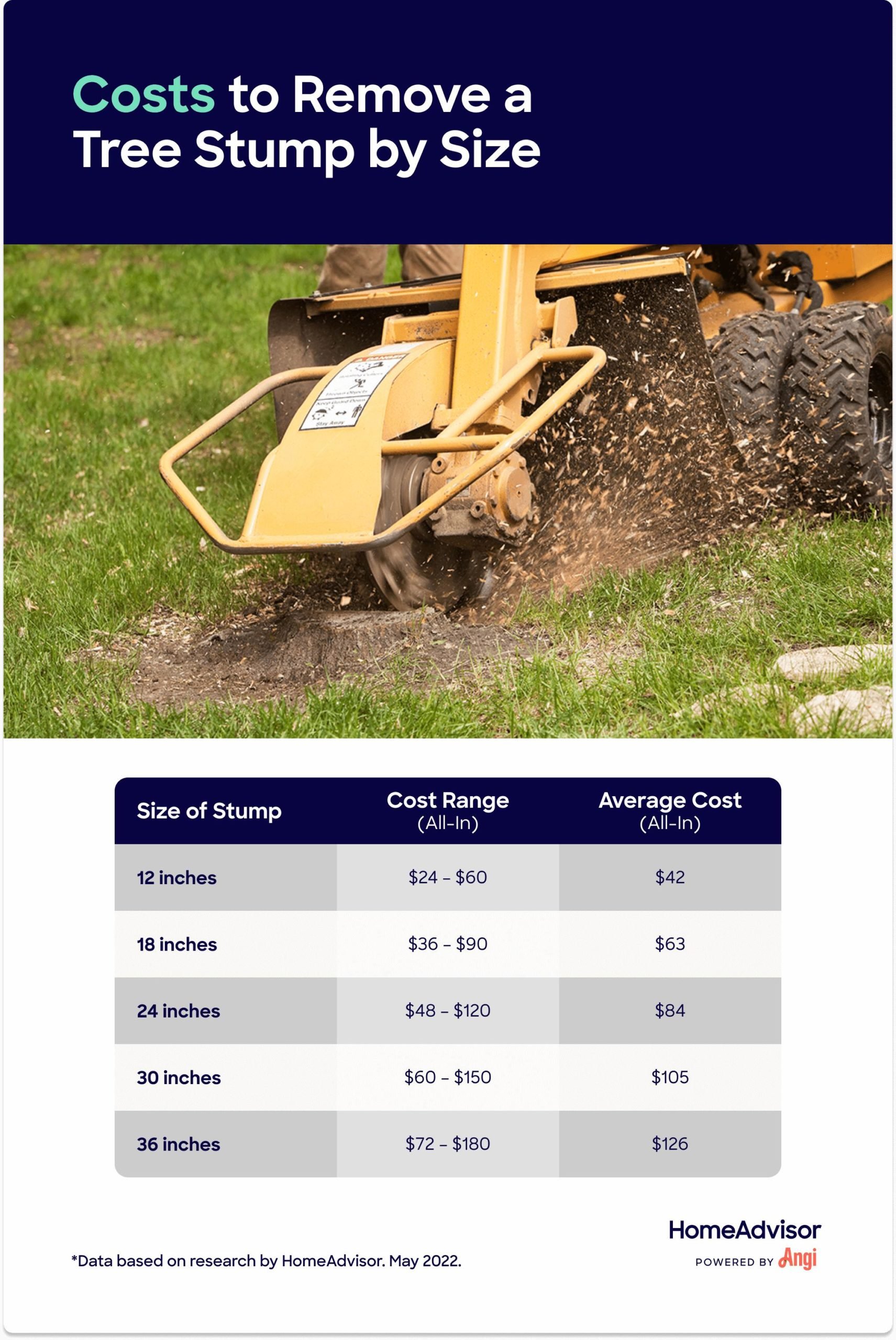 Reasons to Consider Stump Grinding